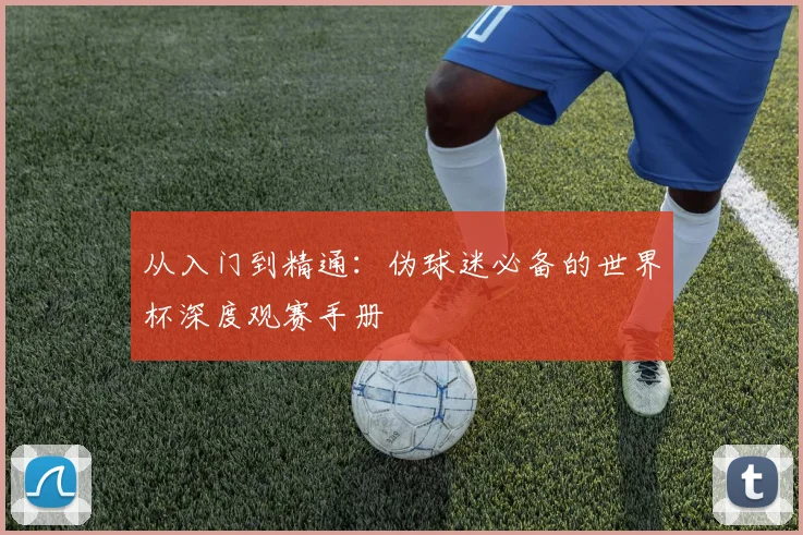 从入门到精通：伪球迷必备的世界杯深度观赛手册
