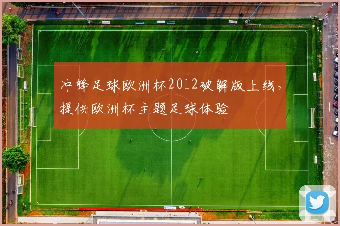 冲锋足球欧洲杯2012破解版上线，提供欧洲杯主题足球体验