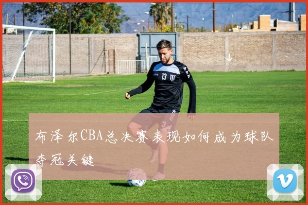 布泽尔CBA总决赛表现如何成为球队夺冠关键